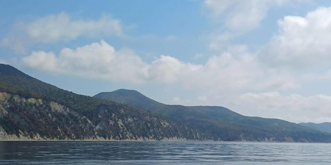 Кондратьев: в Геленджике потушили лесные пожары