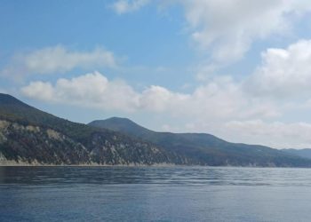 Кондратьев: в Геленджике потушили лесные пожары