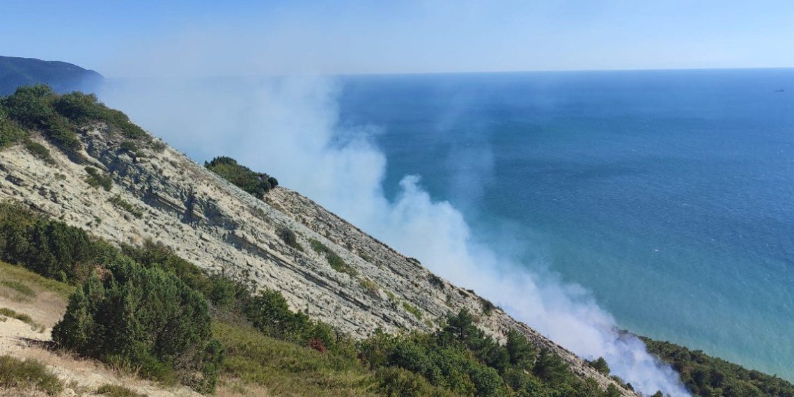 В Краснодарском крае тушат пожар площадью 11,2 гектара