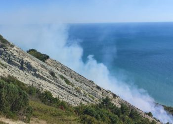 В Краснодарском крае тушат пожар площадью 11,2 гектара