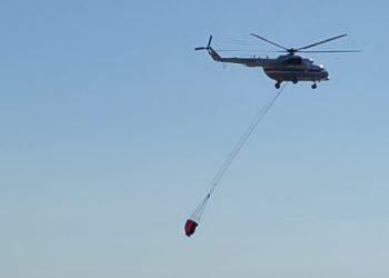 В Краснодарском крае локализовали лесной пожар площадью 11,2 гектара