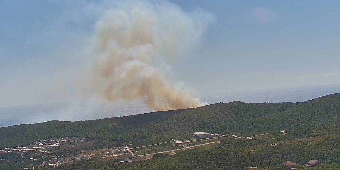 В Краснодарском крае ликвидировали лесной пожар площадью 11,2 гектара