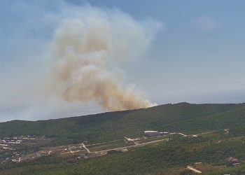 В Краснодарском крае ликвидировали лесной пожар площадью 11,2 гектара