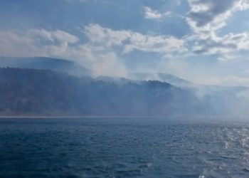 Площадь лесного пожара в Геленджике увеличилась до 14 гектаров