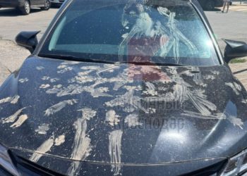 Бродячие собаки в ЖК «Любимово» Краснодара терроризируют жителей и портят авто