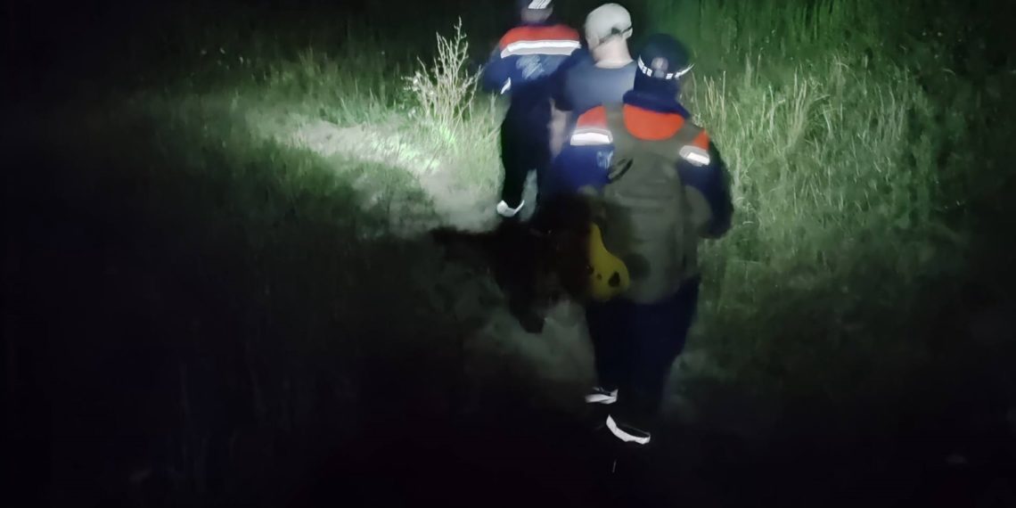 В Сочи спасли заблудившегося в лесу молодого человека