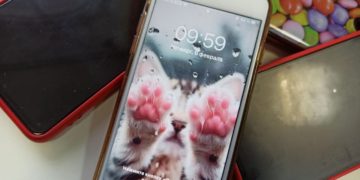 Власти рассказали, отключат ли в Краснодарском крае мобильный интернет