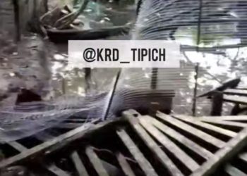 В Краснодарском крае медведь сломал забор и пытался съесть утку