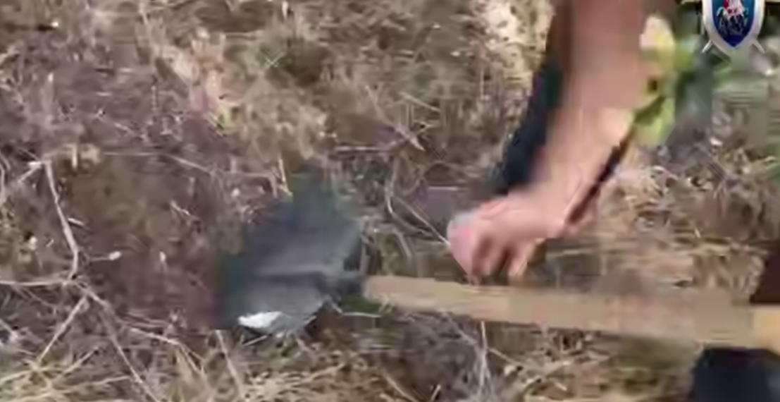 Задержанный на Кубани Коваленко указал место захоронения Татьяны Магомедовой