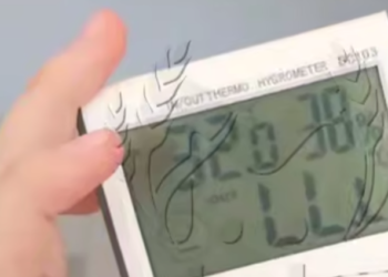 В Краснодаре родители требуют дистант для учащихся гимназии за миллиард