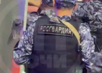 Туристы в Сочи пострадали от нападения и последующего задержания росгвардейцами