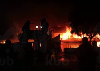 МЧС раскрыло подробности пожара в зоопарке «Крокодиловый каньон» в Ейске