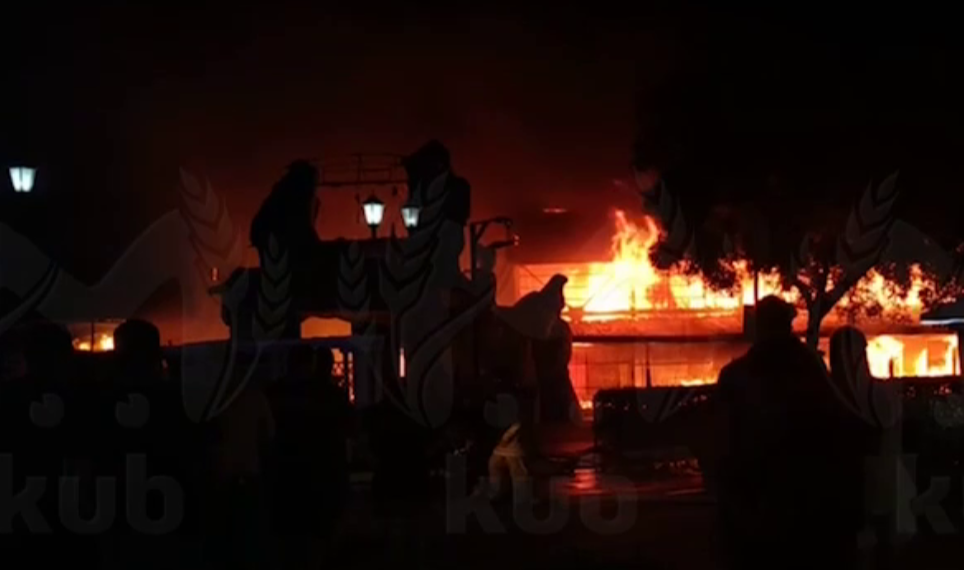 МЧС раскрыло подробности пожара в зоопарке «Крокодиловый каньон» в Ейске