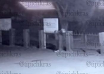 Полиция ищет оставившего свиную голову на заборе мечети под Краснодаром