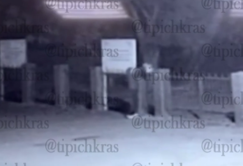 Полиция ищет оставившего свиную голову на заборе мечети под Краснодаром