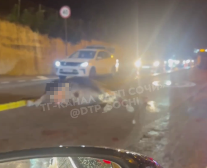 В Сочи вечером внедорожник насмерть сбил телку на дороге и перевернулся