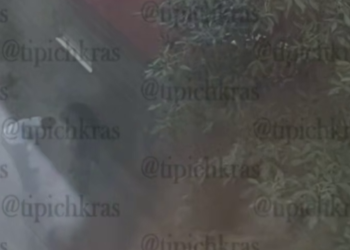 В Краснодаре очевидец сняла на видео избиение ребенка и женщины