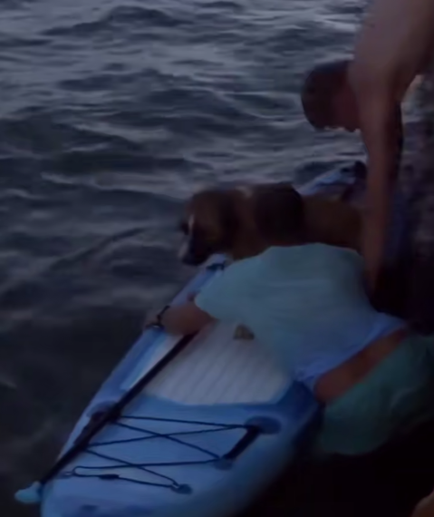 Парню не помогли, а пса спасли: история со счастливым концом на набережной Керчи