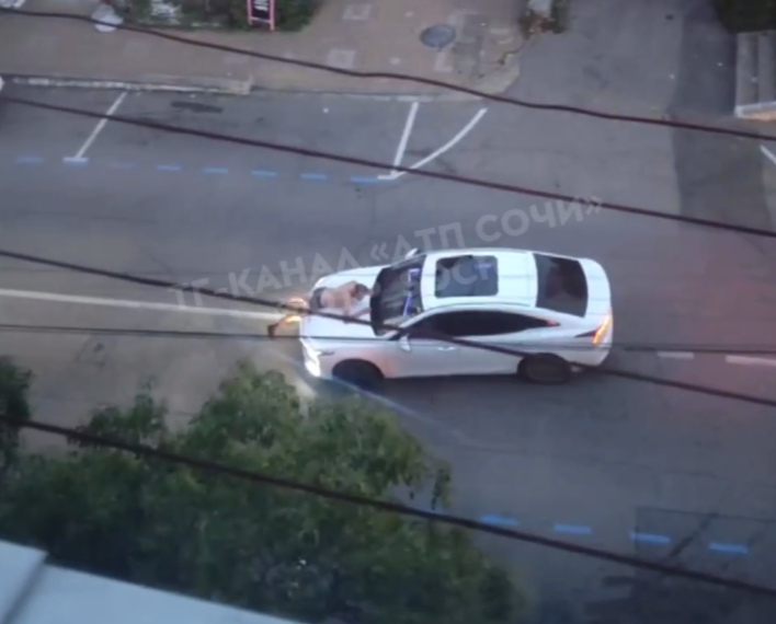 Обнаженный мужчина устроил необычную поездку на капоте автомобиля в Сочи