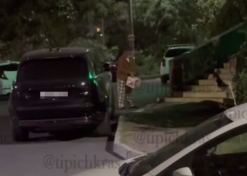 В Краснодаре местного жителя заподозрили в жестоком обращении с животными