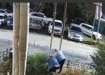 В Краснодаре предпенсионеры Бонни и Клайд обнесли куст розмарина