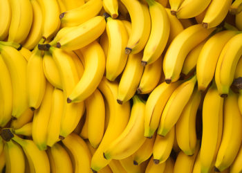 Первый урожай бананов в Сочи соберут этой зимой фермеры и ученые