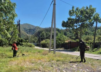 В Сочи продолжается активная борьба с амброзией по всем районам