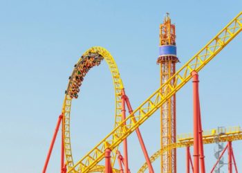 Сочи Парк за три летних месяца принял 640 тысяч гостей