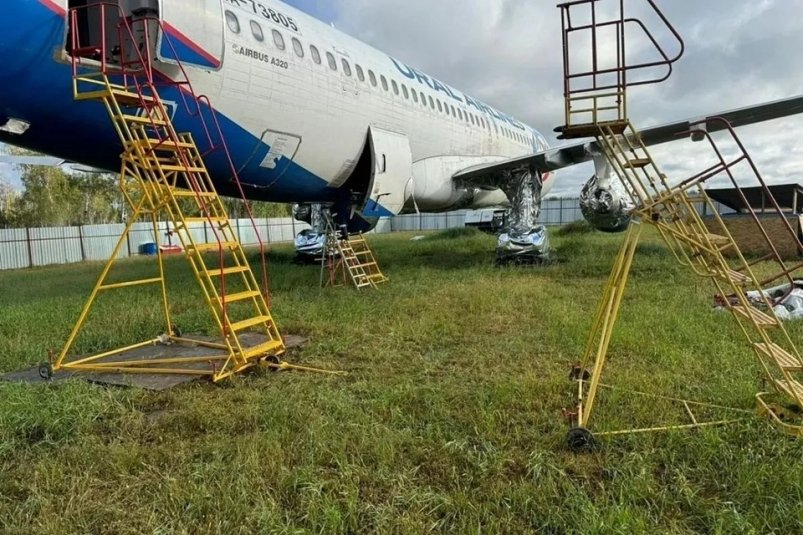 Пилота из Сочи будут судить за посадку лайнера в поле спасшего всех пассажиров