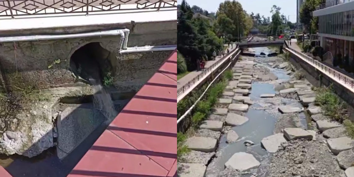 Сочи столкнулся с массовой гибелью рыбы из-за скрытой утечки канализации