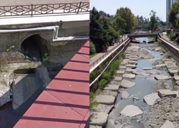 Сочи столкнулся с массовой гибелью рыбы из-за скрытой утечки канализации