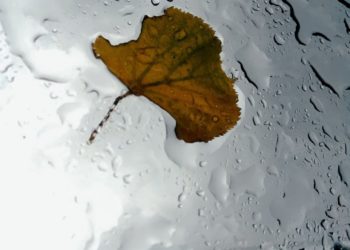 В Краснодарском крае объявлено штормовое предупреждение на 9 и 10 сентября