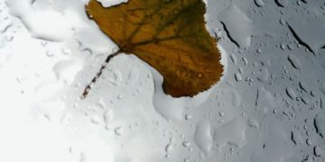 В Краснодарском крае объявлено штормовое предупреждение на 9 и 10 сентября