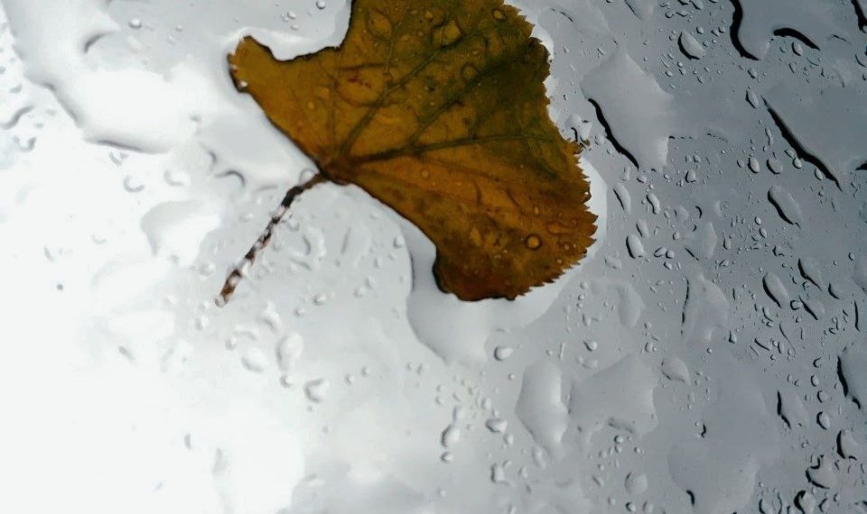 В Краснодарском крае объявлено штормовое предупреждение на 9 и 10 сентября