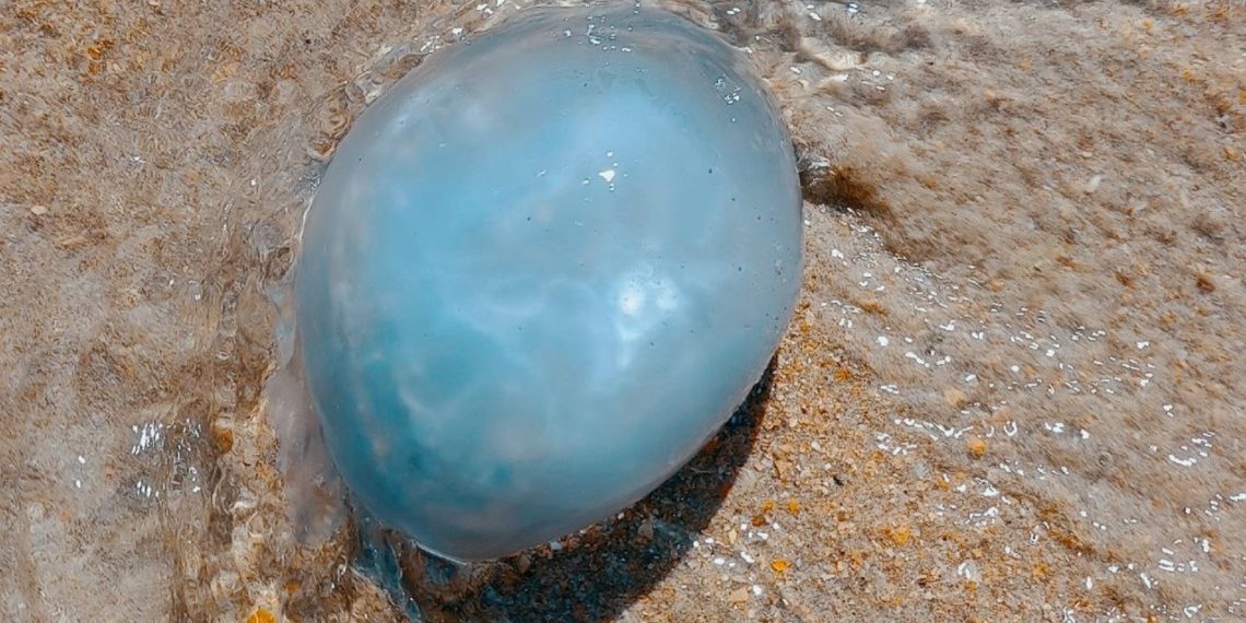 Прогноз погоды на 7 и 8 сентября в Краснодарском крае