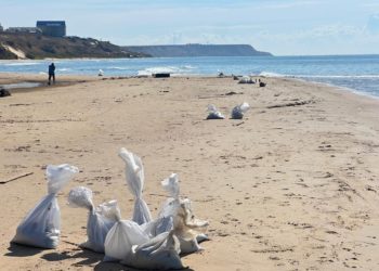 На Кубани собрали 179,6 тысячи тонн загрязненного песка, грунта и гальки