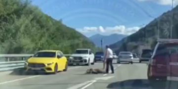 В Сочи женщину могут оштрафовать на 60 тысяч за сбитого насмерть медвежонка