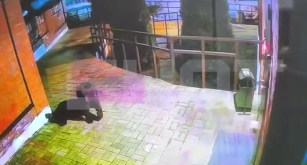 В Сочи медведь пришел к отделу полиции