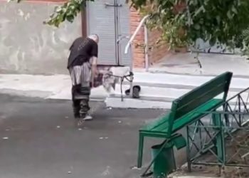 В Новороссийске мужчина раздевался перед собакой