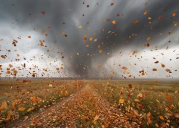 Осеннее ненастье скует Сочи и край штормовым ветром и первыми заморозками