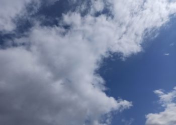 Шквалистый ветер обрушится на Краснодарский край в начале недели