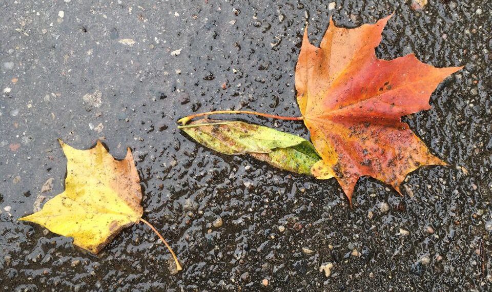 Кубань накрывает мощный атмосферный фронт с экстремальной погодой