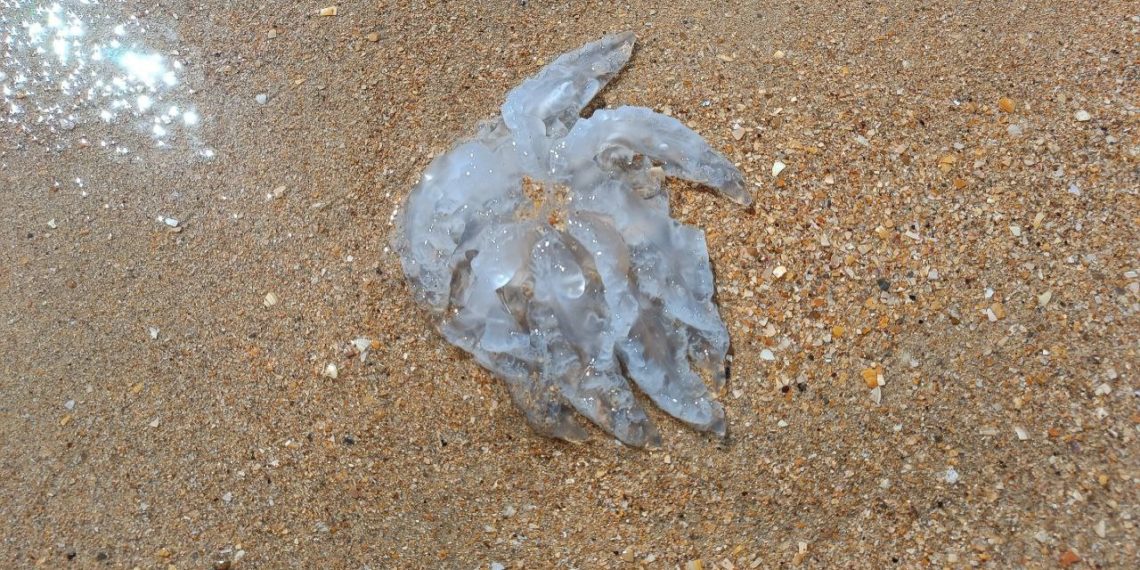 Погода сойдет с ума на Кубани в субботу 20 сентября. Стало известно, что придет