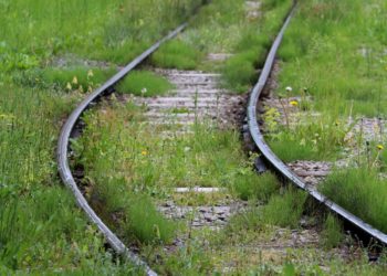 Электрички Кубани перевезли 11,5 млн пассажиров за семь месяцев 2025