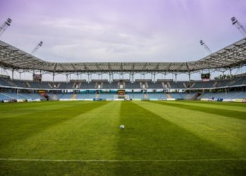 Игорь Осинькин назначен главным тренером «Сочи» после неудачного сезона