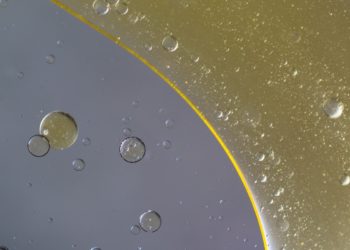 В Черном море у Новороссийска произошел разлив нефти: пятно движется к Анапе