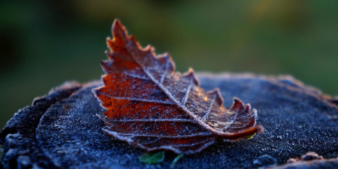 В горах Краснодарского края ночные температуры могут опуститься до +2 градусов