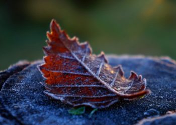 В горах Краснодарского края ночные температуры могут опуститься до +2 градусов