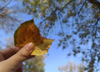 Сентябрь на Кубани закончится сложными погодными условиями