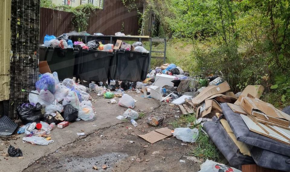 В Сочи жители двух улиц не могут поделить контейнерную площадку